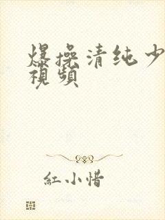 爆操清纯少妇的视频