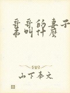 哥哥的妻子的弟弟叫什么