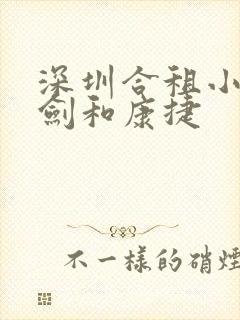 深圳合租小雯许剑和康捷