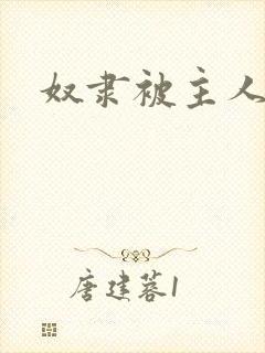 奴隶被主人调教