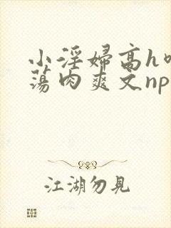 小淫妇高h喷水荡肉爽文np文