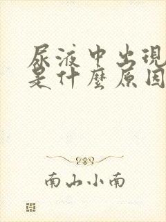 尿液中出现泡沫是什么原因