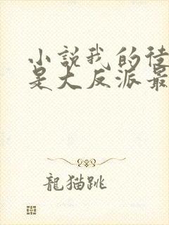 小说我的徒弟都是大反派最新章节列