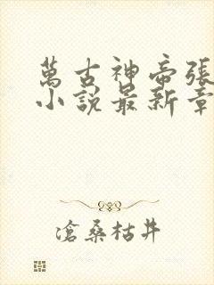 万古神帝张若尘小说最新章节在线