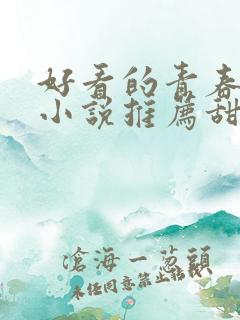 好看的青春校园小说推荐甜文