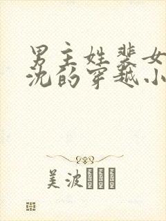 男主姓裴女主姓沈的穿越小说