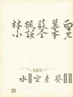 林枫苏慕白穿越小说全本免费阅读一