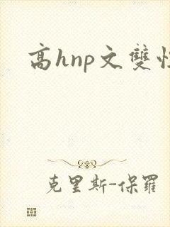 高hnp文双性