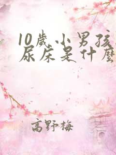 10岁小男孩还尿床是什么原因