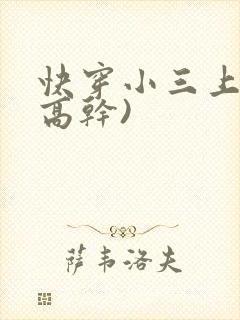 快穿小三上位(高干)