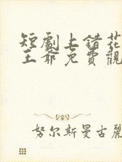 短剧上错花轿嫁王爷免费观看