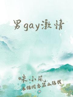 男gay激情