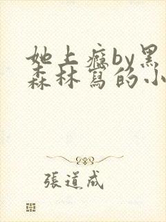 她上瘾by黑暗森林写的小说