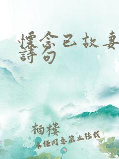 怀念已故妻子的诗句