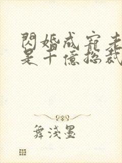 闪婚成宠老公竟是千亿总裁