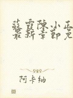 苏霞陈小正小说最新章节免费阅读