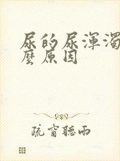 尿的尿浑浊是什么原因