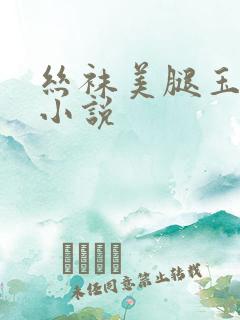 丝袜美腿玉足h小说