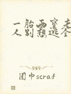 一胎两宝老婆大人别想逃全文免费阅读