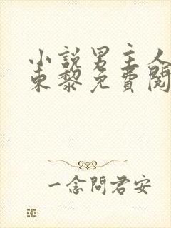 小说男主人公曲东黎免费阅读