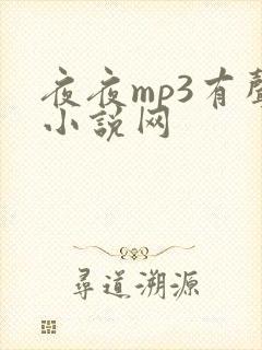 夜夜mp3有声小说网