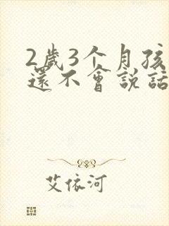 2岁3个月孩子还不会说话