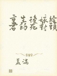 重生后嫁给渣夫君的死对头