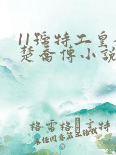 11号特工皇妃楚乔传小说