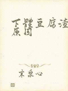 下体豆腐渣白带原因