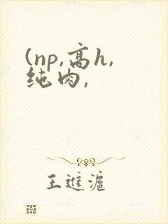 (np,高h,纯肉,