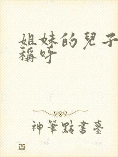 姐妹的儿子怎么称呼