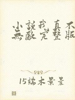 小说我真不想太无敌完整版未删减小说