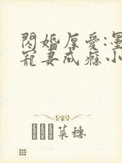 闪婚厚爱:墨少宠妻成瘾小说