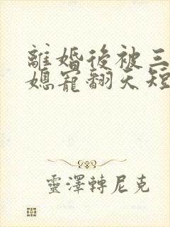 离婚后被三个儿媳宠翻天短剧