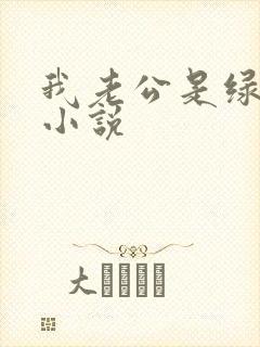 我老公是绿帽奴小说