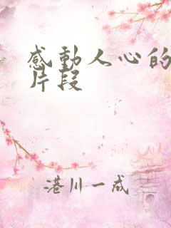 感动人心的视频片段