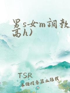 男s女m调教(高h)