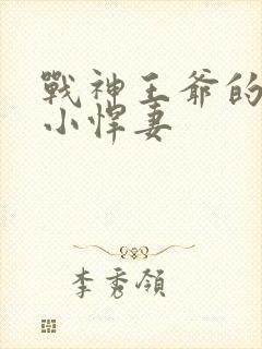 战神王爷的甜宠小悍妻