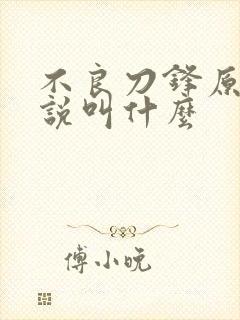 不良刀锋原著小说叫什么