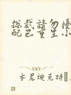 总裁请勿扰,原配已重生小说全文阅读