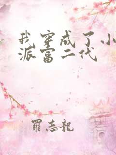 我穿成了小说反派富二代