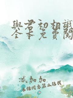 与君初相识小说全本免费阅读笔趣阁