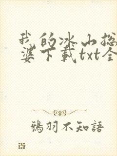 我的冰山总裁老婆下载txt全文