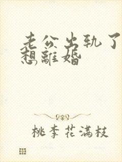 老公出轨了咋办想离婚