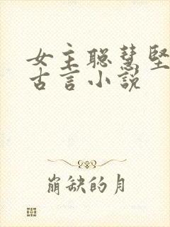 女主聪慧坚韧的古言小说
