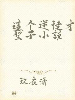 这个逆徒才不是圣子小说