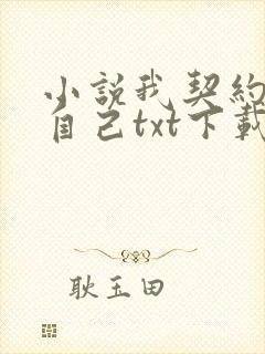 小说我契约了我自己txt下载