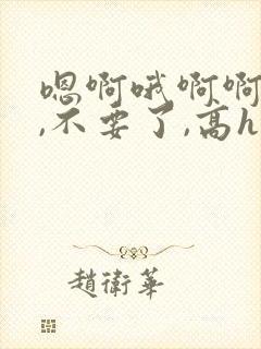 嗯啊哦啊啊啊啊,不要了,高hnp