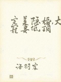 完美隐婚,大佬宠妻低调