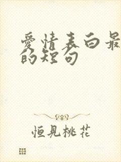 爱情表白最感动的短句